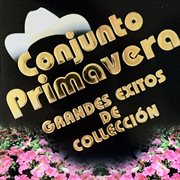 Grandes Exitos De Collecion cover image