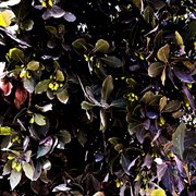 A Burial cover image