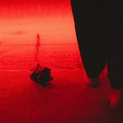 Depois De Nós cover image