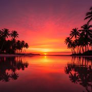 Rosewood Harmony Line cover image