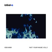 Not Your Muse Vol.2 cover image