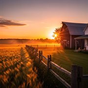 Sunset On The Farm cover image