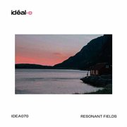 Resonant Fields cover image