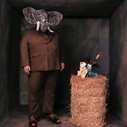 White Whiskey cover image