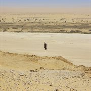 The Farthest Desert cover image