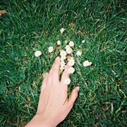 Could You Not Go? cover image