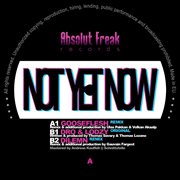 Not Yet Now cover image