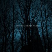 The Amen Project cover image