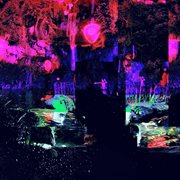 Sleep Loss cover image