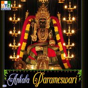 Ankala Parameswari cover image