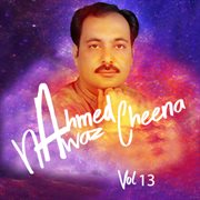 Ahmed Nawaz Cheena, Vol. 13 cover image