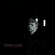 Survive An Apocalypse cover image