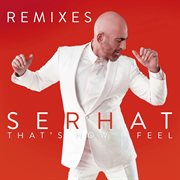 That's how I feel : remixes cover image