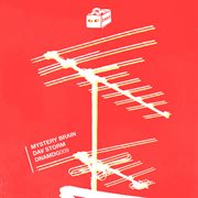 Mystery Brain cover image