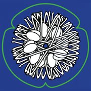 Germination X Dtc cover image