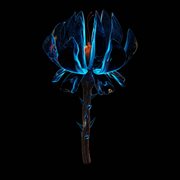 Knocked Out cover image