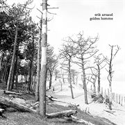 Golden Homme cover image