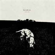 Synesthesia cover image