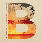 Delusions of grandeur: b-sides cover image