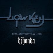 Low key (feat. andy kayes & liqid) cover image