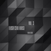 Flash club house, vol. 3 cover image