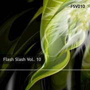 Flash slash, vol.10 cover image