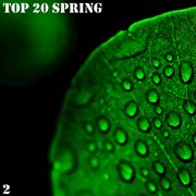 Top 20 spring, vol. 2 cover image