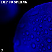Top 20 spring, vol. 3 cover image