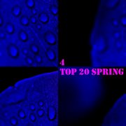 Top 20 spring, vol. 4 cover image