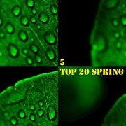 Top 20 spring, vol. 5 cover image