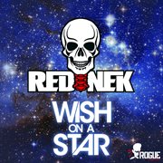 Wish on a star cover image
