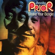 Shake your boogie cover image