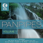 Favourite pan pipe melodies - vol. 1 cover image