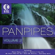 Favourite pan pipe melodies - vol. 2 cover image