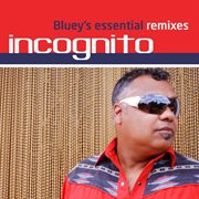 Bluey's essential remixes cover image