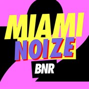Miami noize 2011 cover image