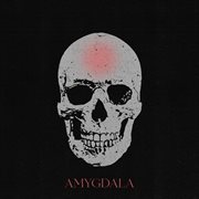Amygdala cover image