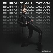 Burn It All Down cover image
