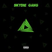 Skydie gang cover image