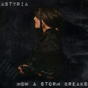 How a storm breaks cover image