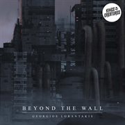 Beyond the wall cover image