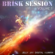 Brisk session, vol. 1 cover image