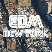 Edm  new york cover image