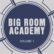 Big room academy cover image
