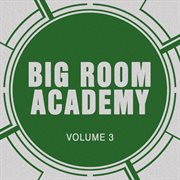 Big room academy, vol. 3 cover image