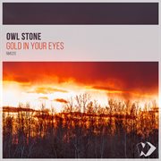 Gold in your eyes cover image