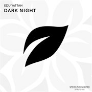Dark night cover image