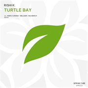 Turtle bay cover image