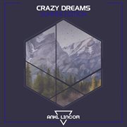 Crazy dreams cover image