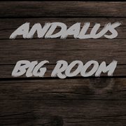 Andalus big room cover image